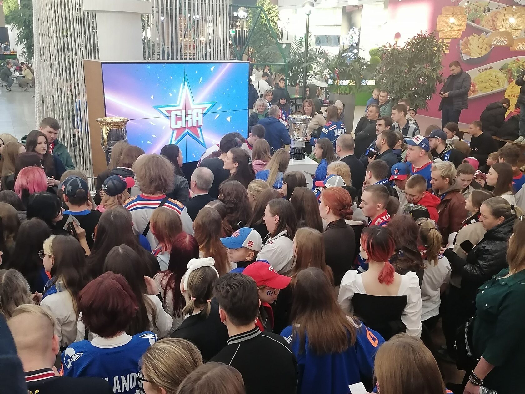 Превью новости